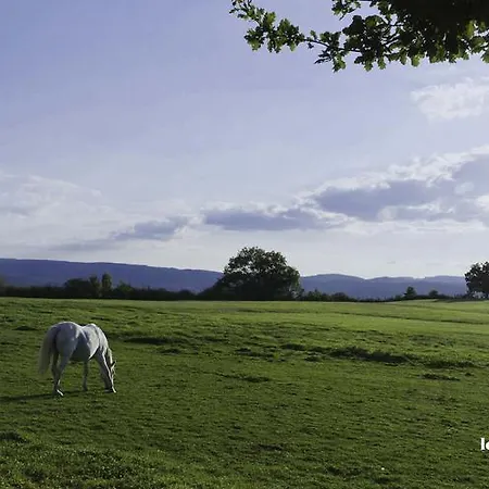 Hotel Domaine Le Prieuré
