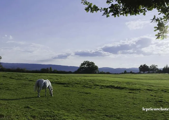 Отель Domaine Le Prieure