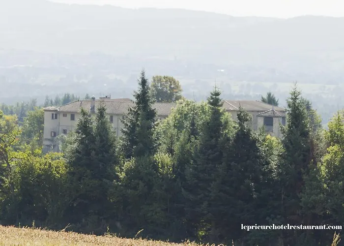 Отель Domaine Le Prieure